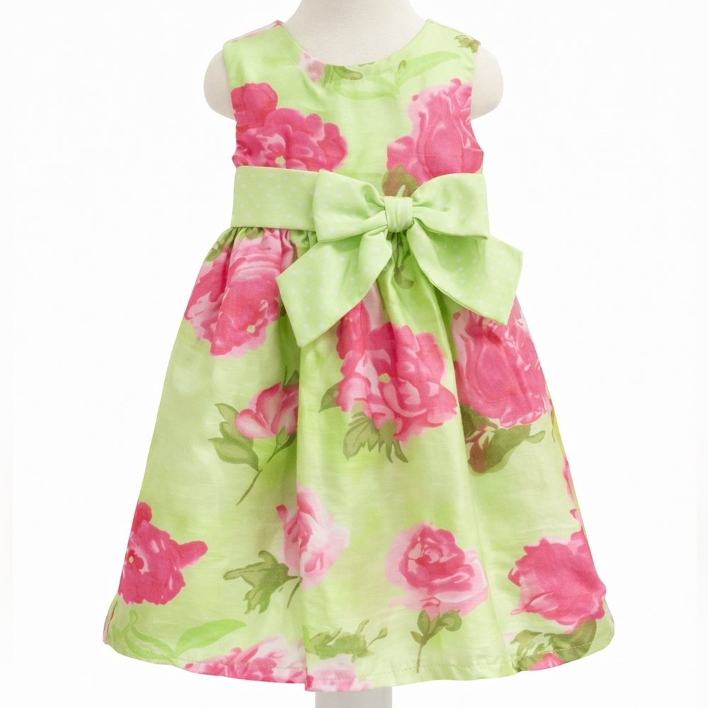 Blue Beri dress 24Months